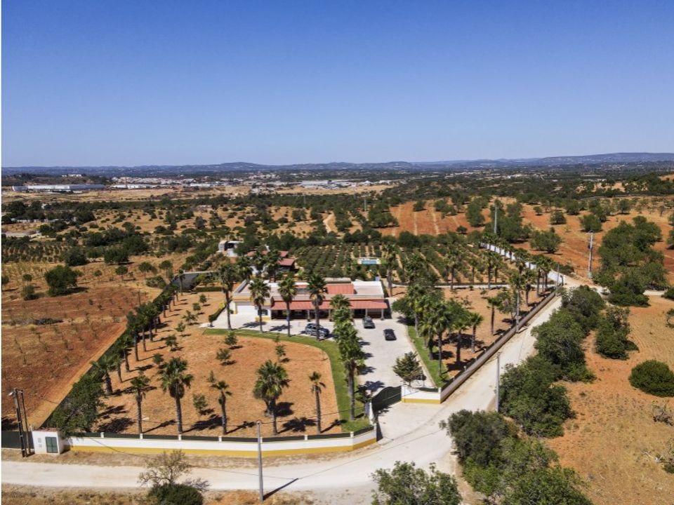 Farm i Guia, Faro - foto 4