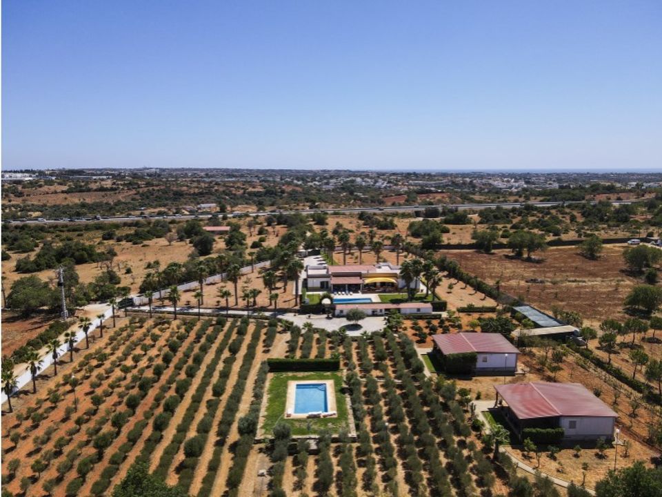 Farm i Guia, Faro - foto 5