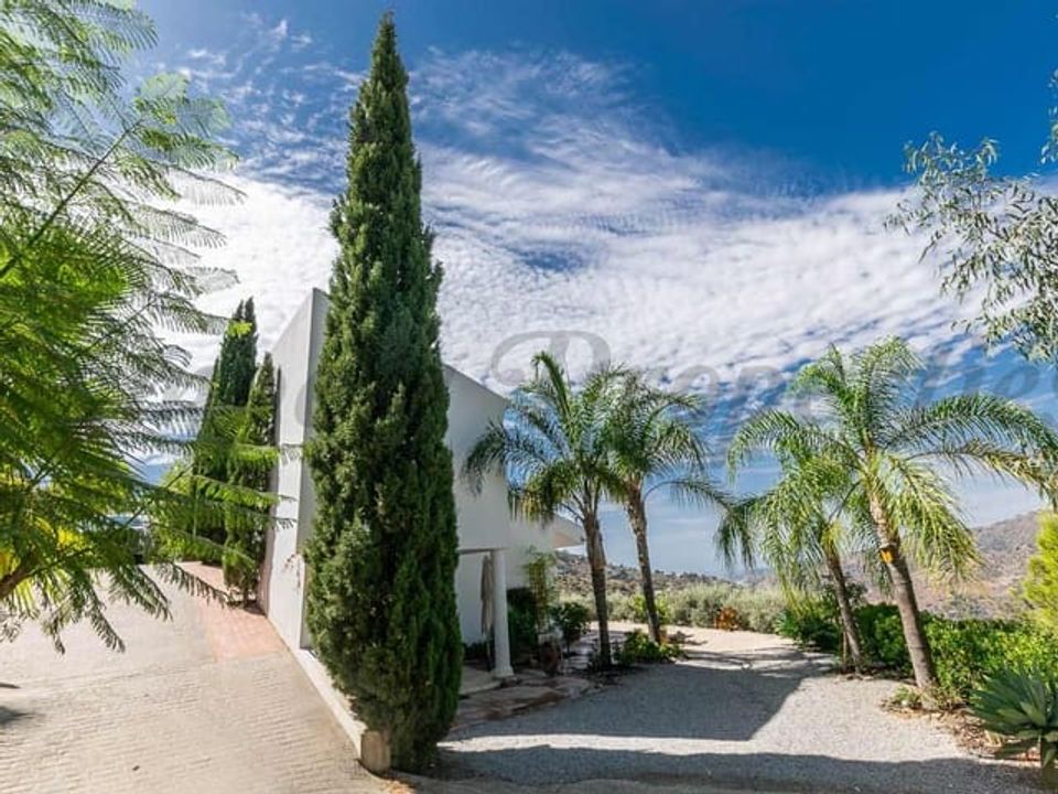 Finca i Sayalonga, Malaga - foto 4