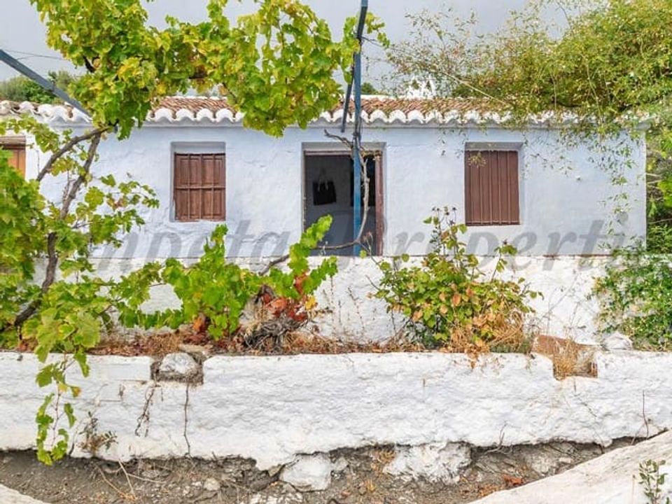 Finca i Canillas De Aceituno, Malaga - foto 1
