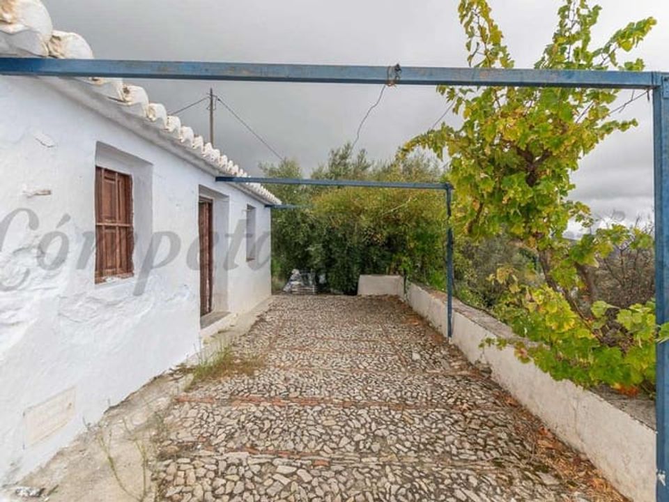 Finca i Canillas De Aceituno, Malaga - foto 4