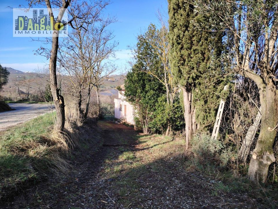 Villa a Offida, Ascoli Piceno - foto 5