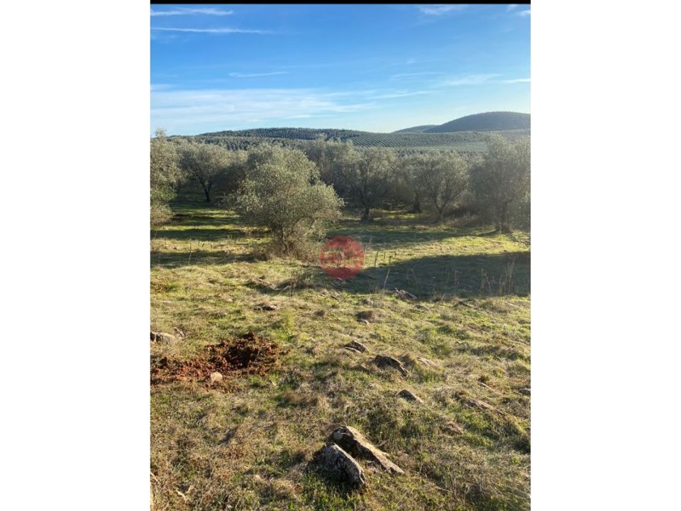 Helårsgrund i Sousel, Portalegre - foto 4