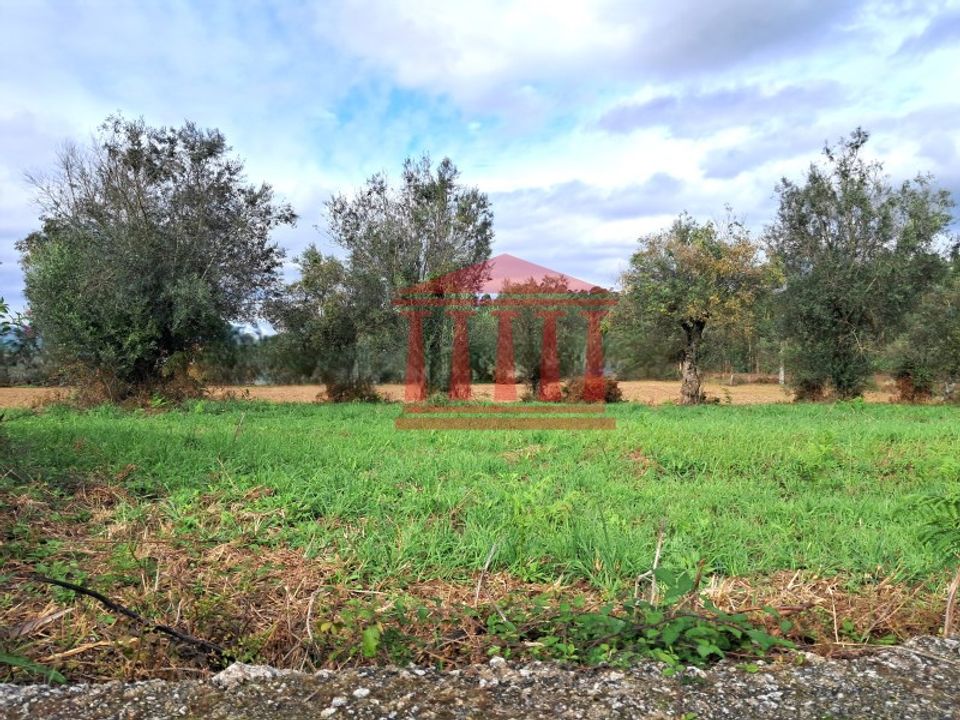 Helårsgrund i Barcelos, Braga - foto 1