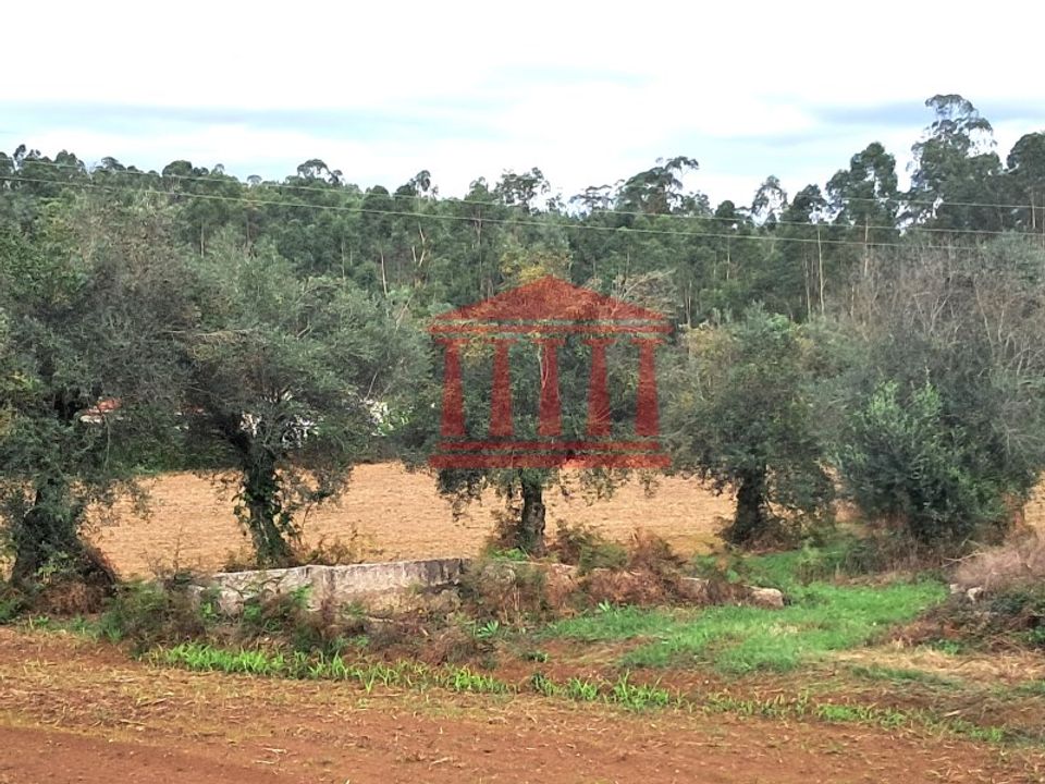 Helårsgrund i Barcelos, Braga - foto 3
