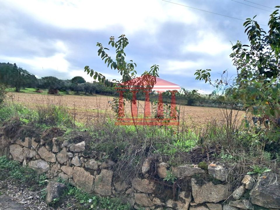 Helårsgrund i Barcelos, Braga - foto 5