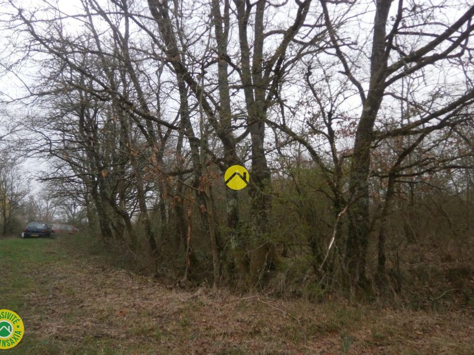 Helårsgrund i Mézières-en-Brenne, Indre - foto 1