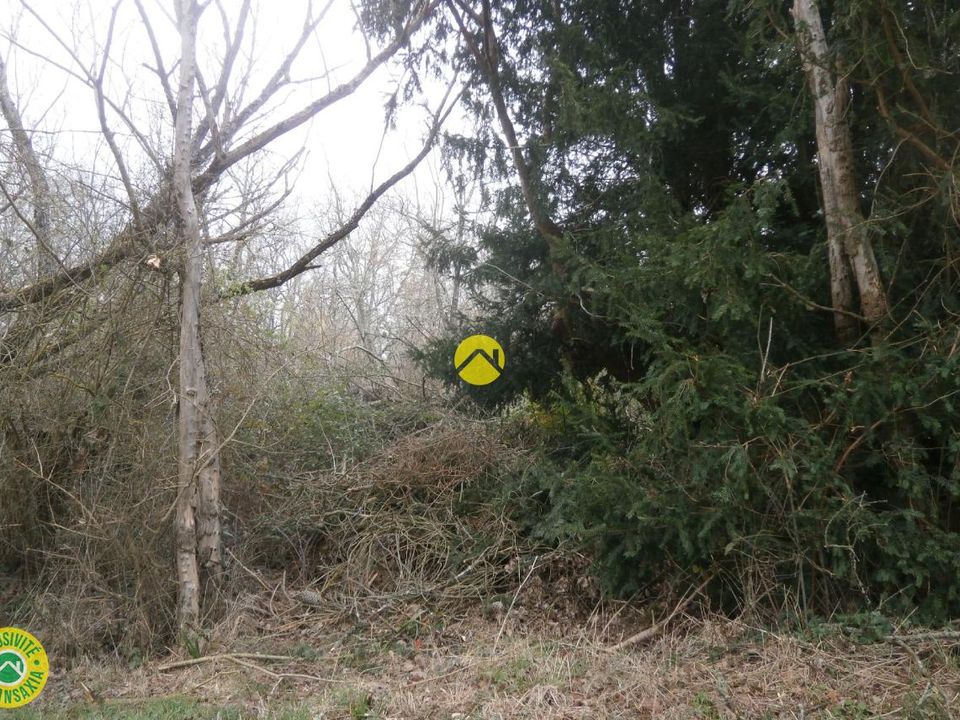 Helårsgrund i Mézières-en-Brenne, Indre - foto 2