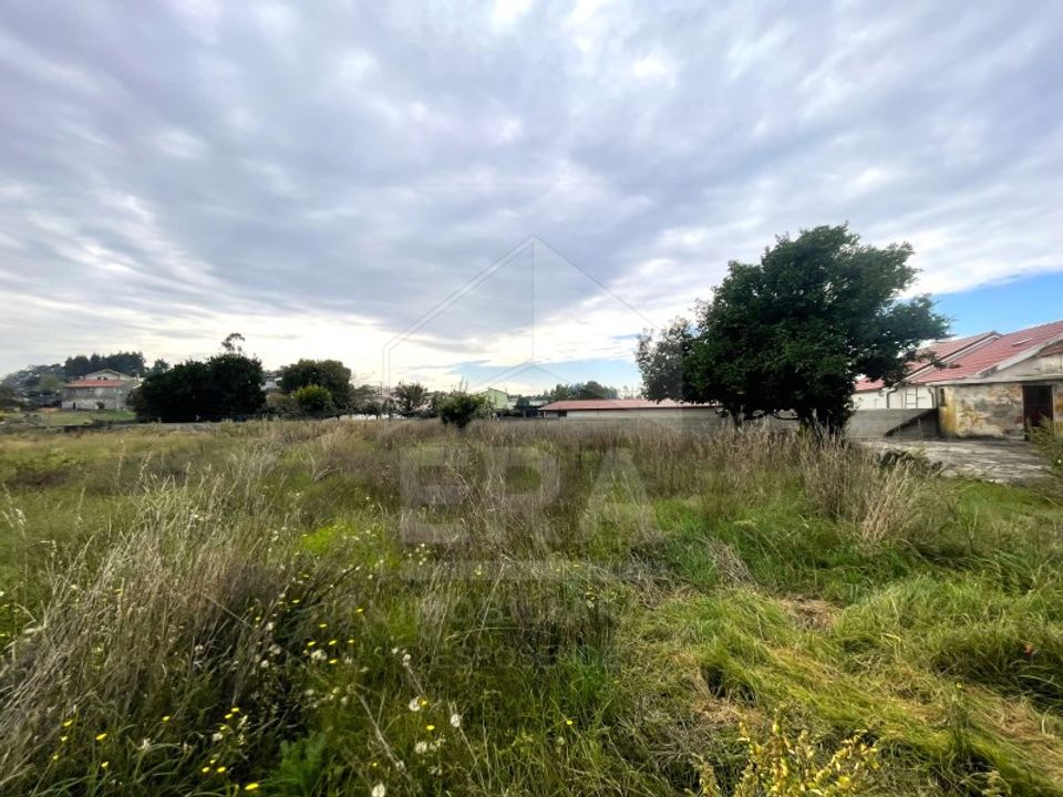Villa i Vila Cha, Braga - foto 5