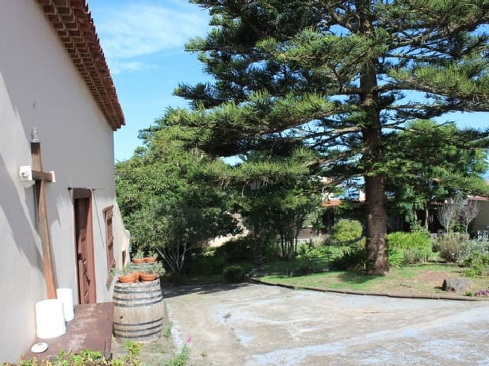 Finca i La Laguna, Tenerife - bilde 1