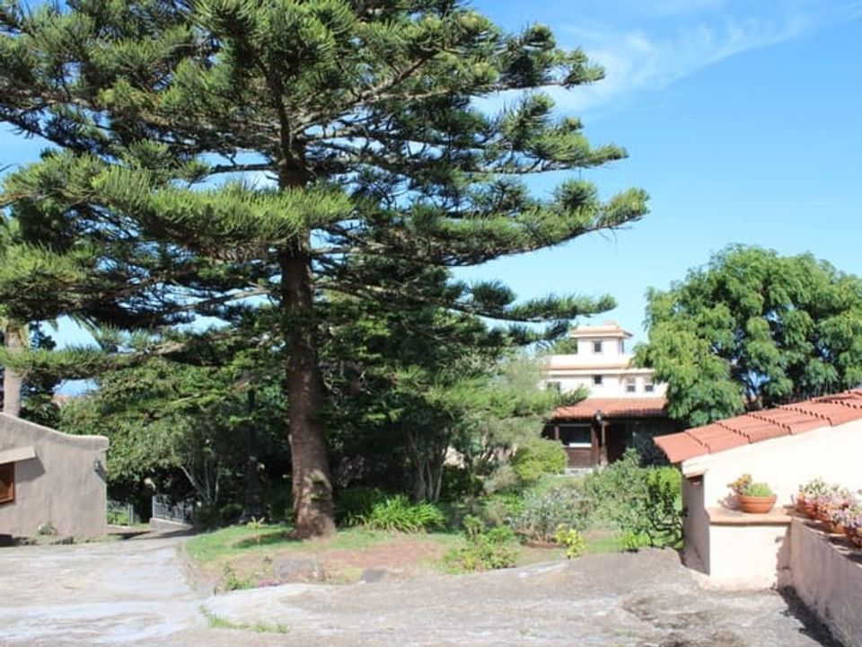 Finca i La Laguna, Tenerife - bilde 3