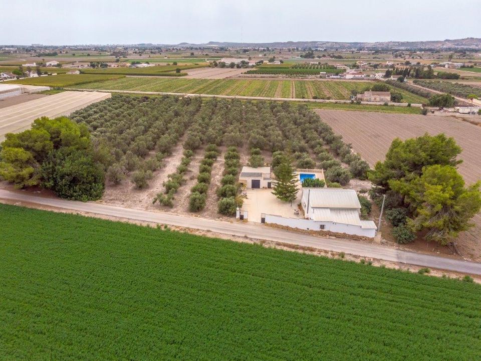 Finca i Dolores, Alicante - bilde 1