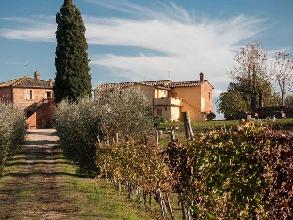 Landejendom i Montepulciano, Siena - foto 2