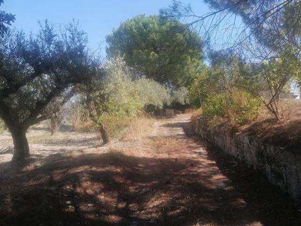 Villa i Cianciana, Agrigento - foto 4
