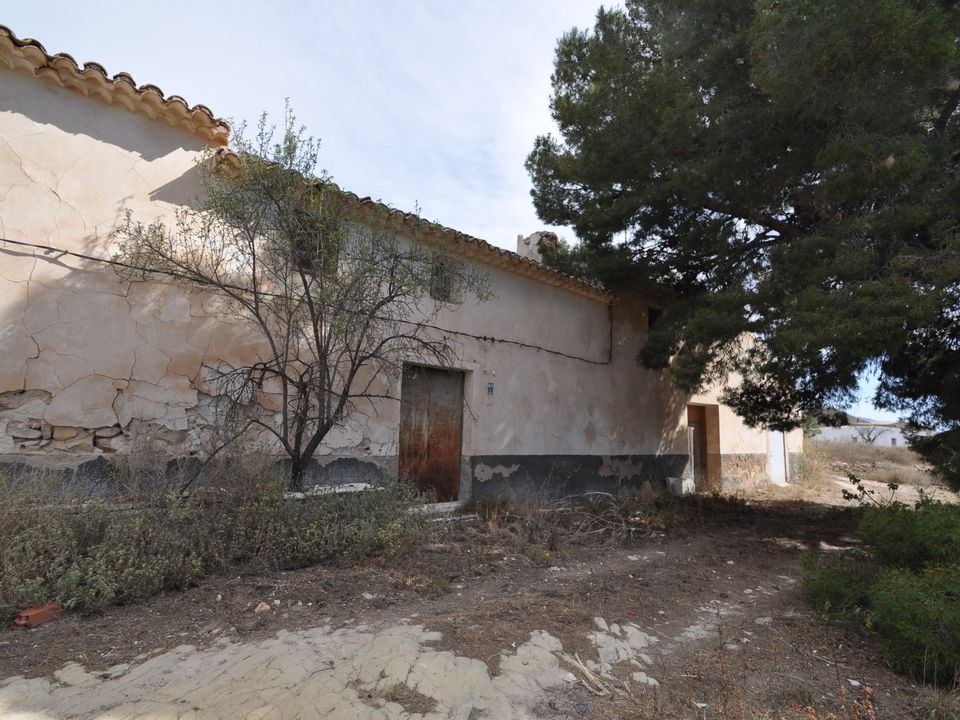 Finca i Monovar, Alicante - foto 3