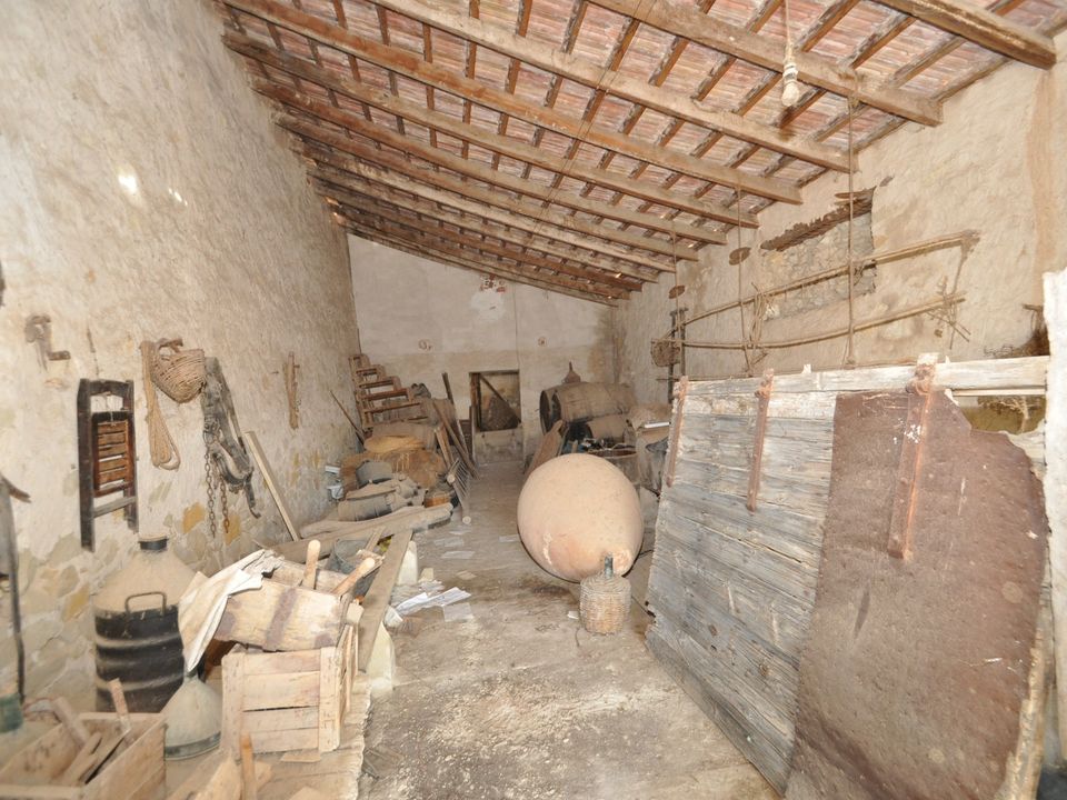 Finca i Monovar, Alicante - foto 4