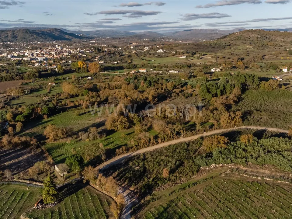 Helårsgrund i Belmonte, Castelo Branco - foto 3