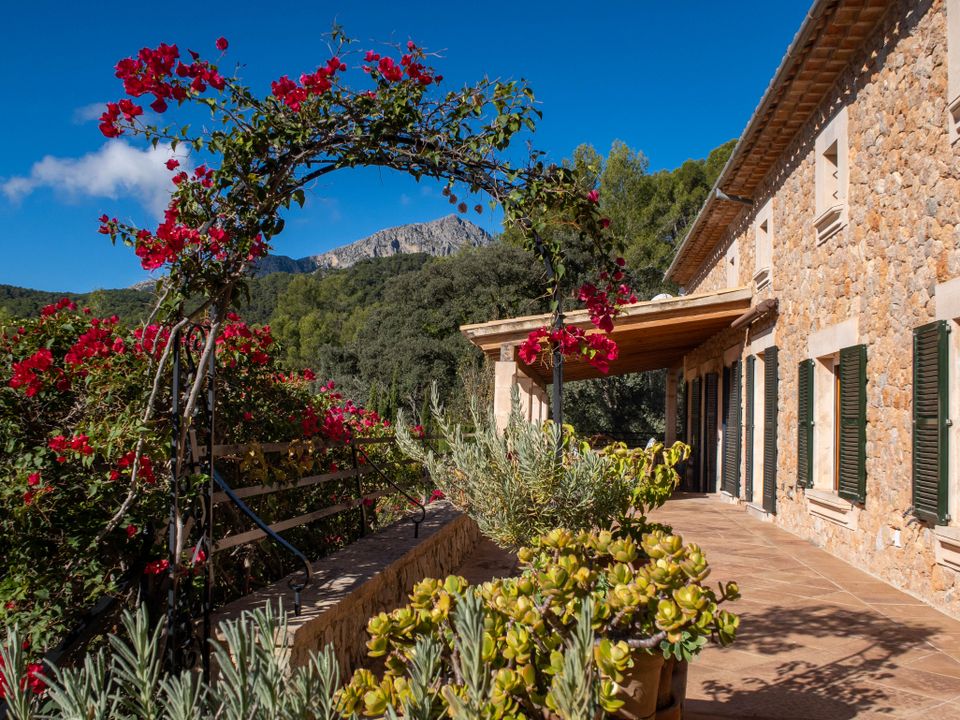 Finca i Puigpunyent, Mallorca - foto 4