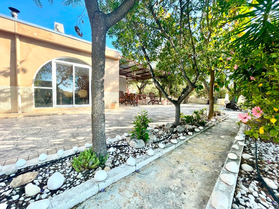 Finca i Crevillent, Alicante - foto 3