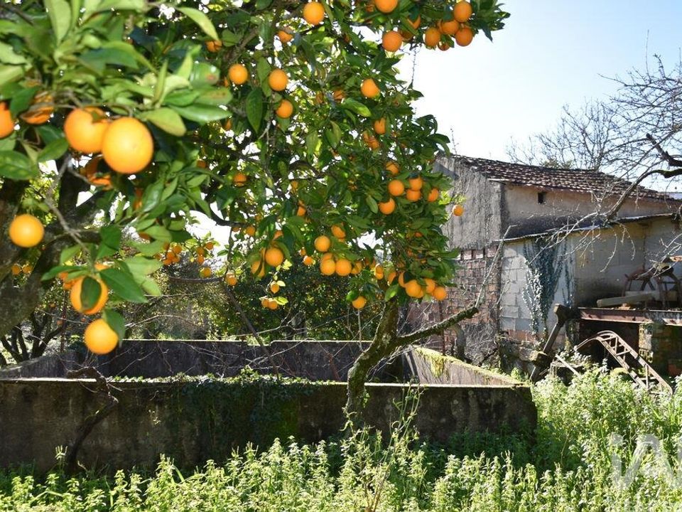 Byhus i Ferreira do Zezere, Santarem - foto 1