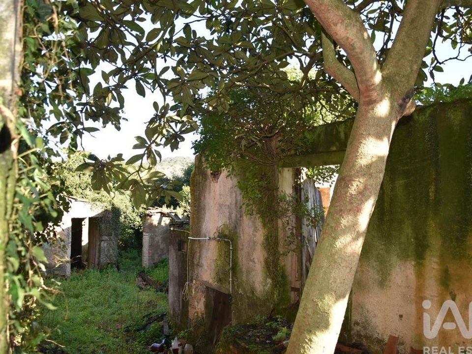 Byhus i Ferreira do Zezere, Santarem - foto 3