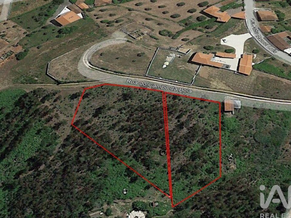 Tomt i Pedrogao Grande, Leiria - bilde 4