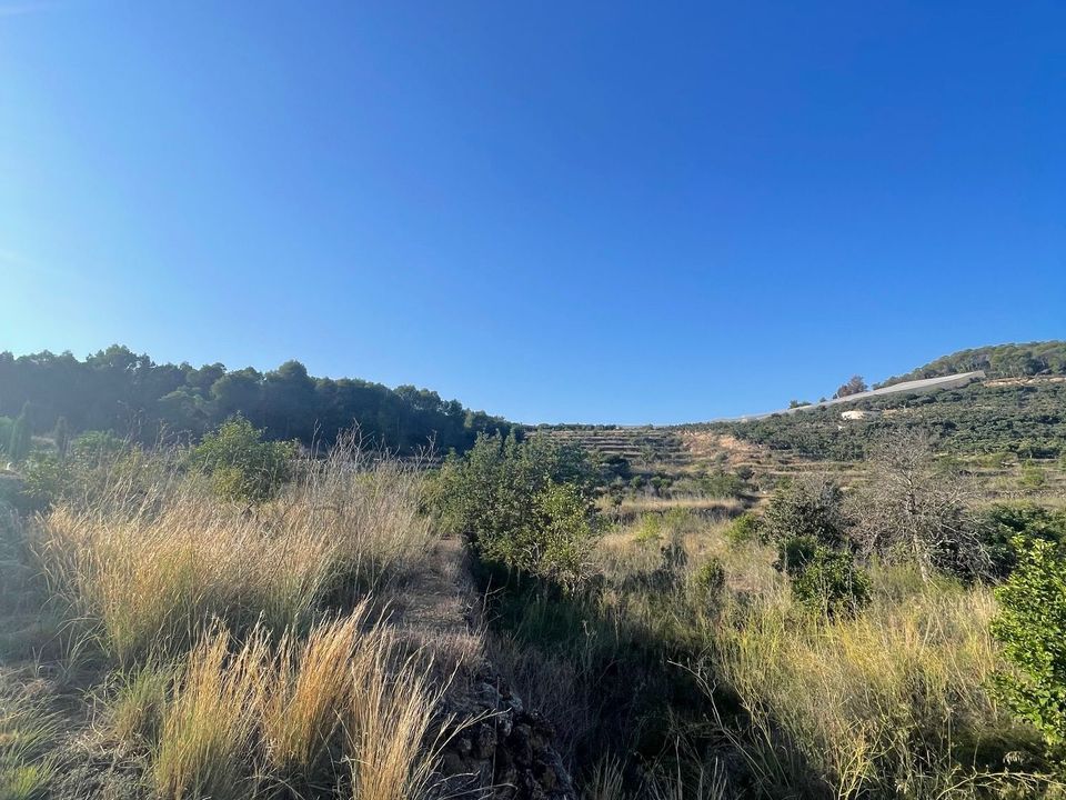 Helårsgrund i Callosa D'en Sarria, Alicante - foto 1