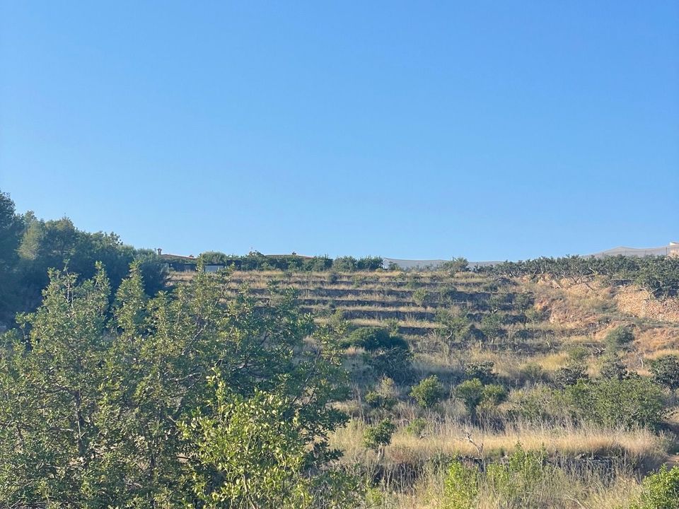 Helårsgrund i Callosa D'en Sarria, Alicante - foto 2