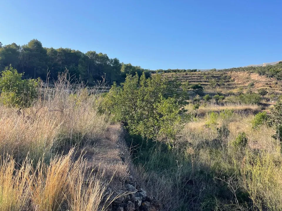 Helårsgrund i Callosa D'en Sarria, Alicante - foto 4