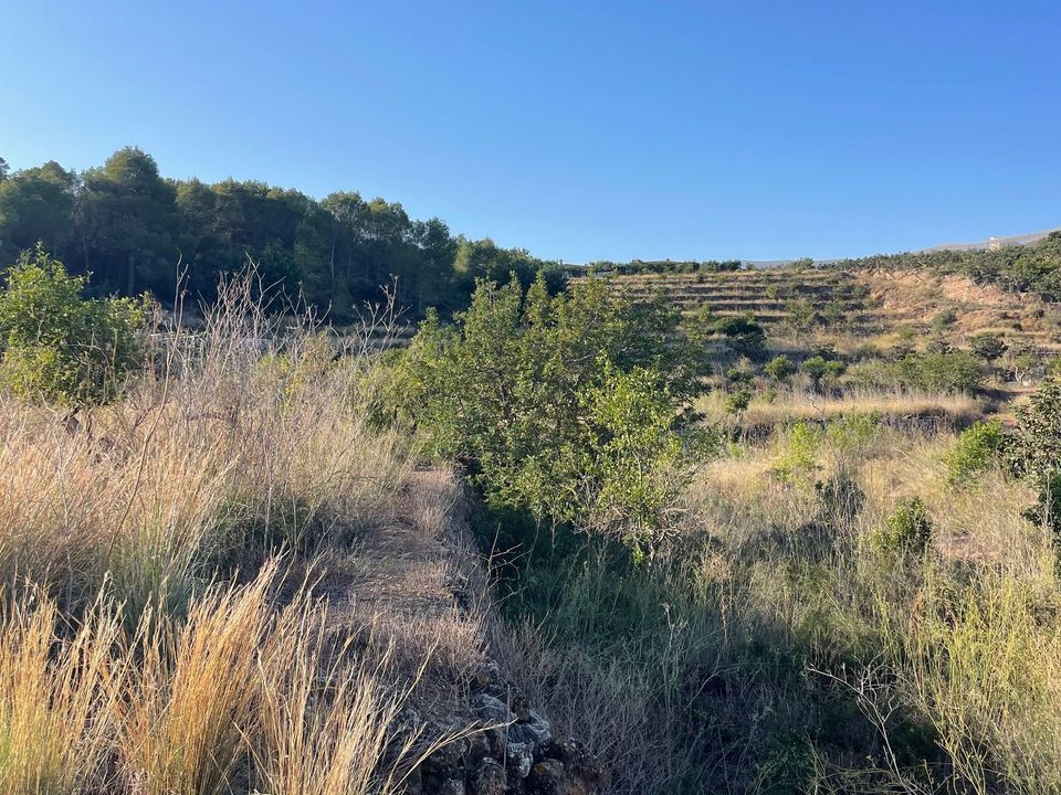 Helårsgrund i Callosa D'en Sarria, Alicante - foto 1