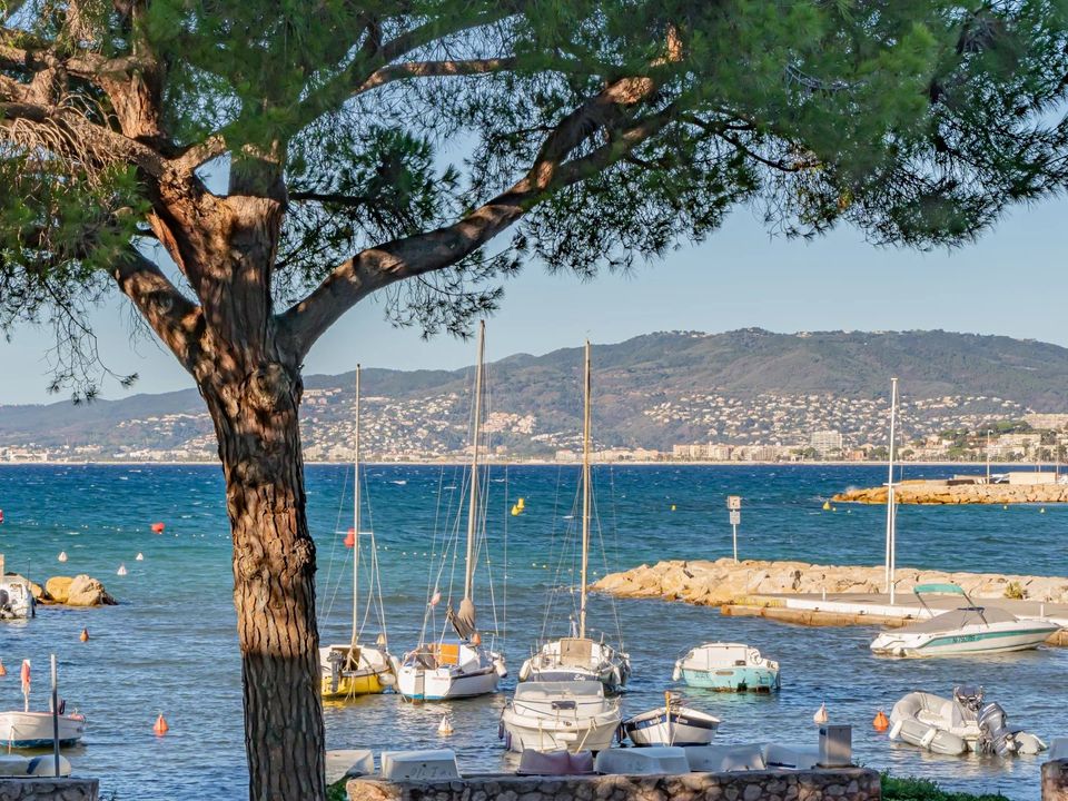 Lejlighed i Cannes, Alpes-Maritimes - foto 3