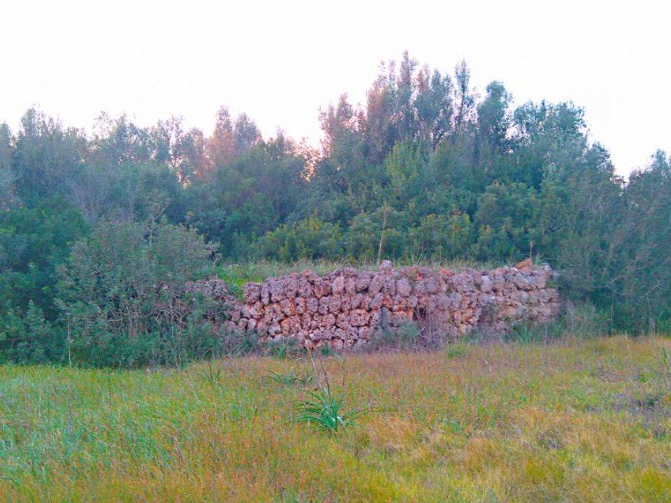 Helårsgrund i Sencelles, Mallorca - foto 2
