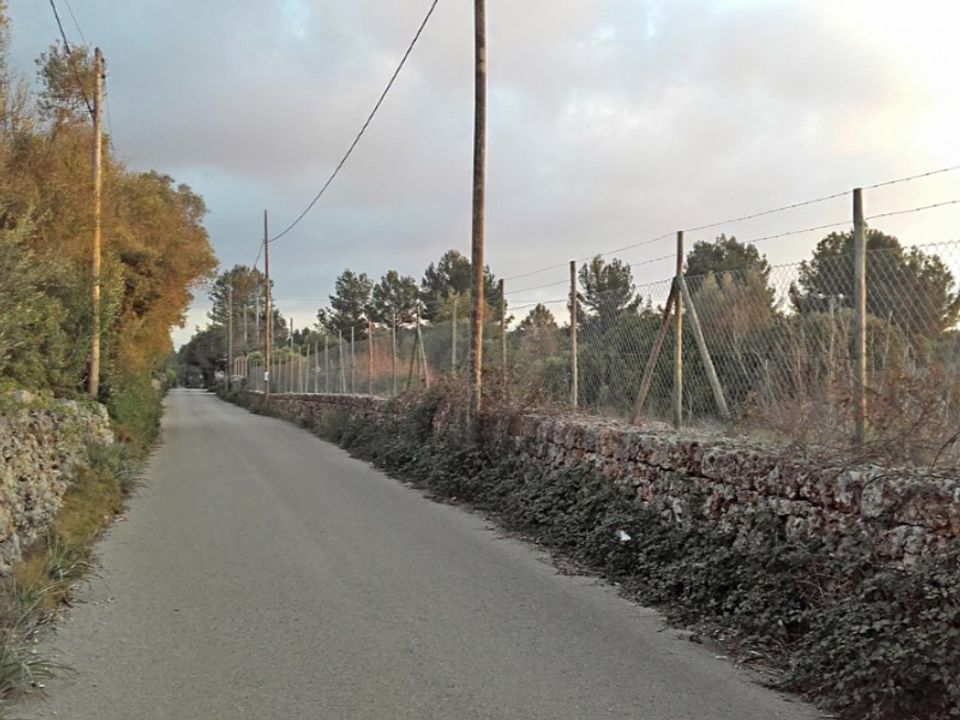 Helårsgrund i Sencelles, Mallorca - foto 3