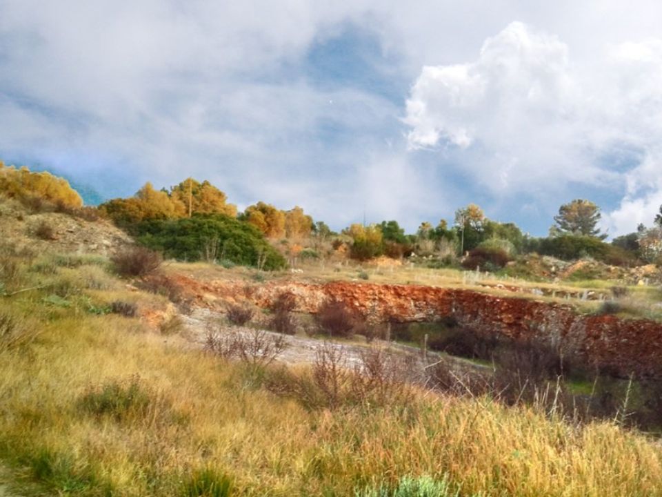 Helårsgrund i Sencelles, Mallorca - foto 4