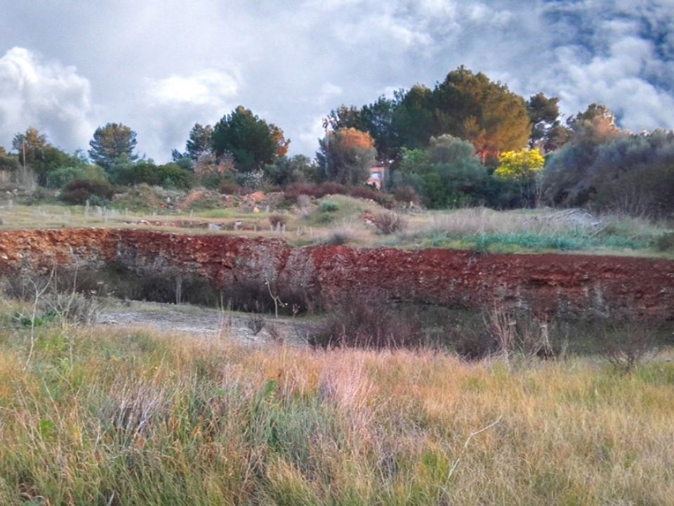 Helårsgrund i Sencelles, Mallorca - foto 5