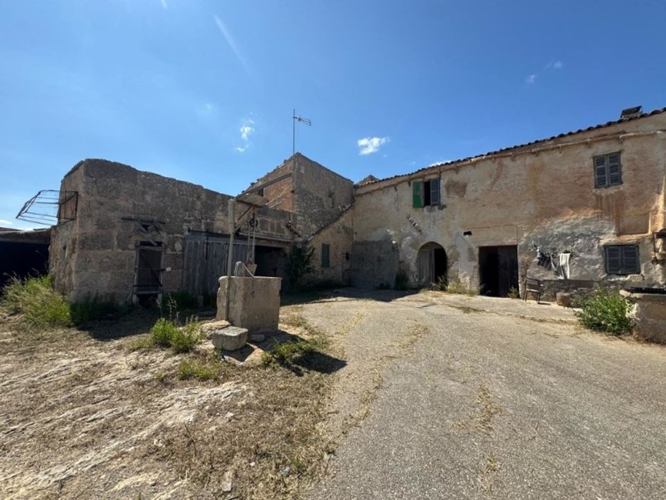 Farm i Manacor, Mallorca - foto 2