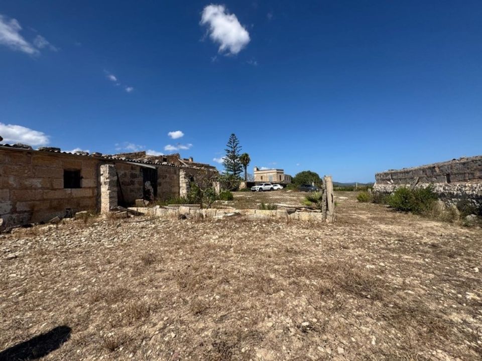 Farm i Manacor, Mallorca - foto 3