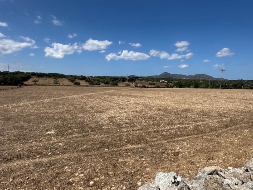 Farm i Manacor, Mallorca - foto 5