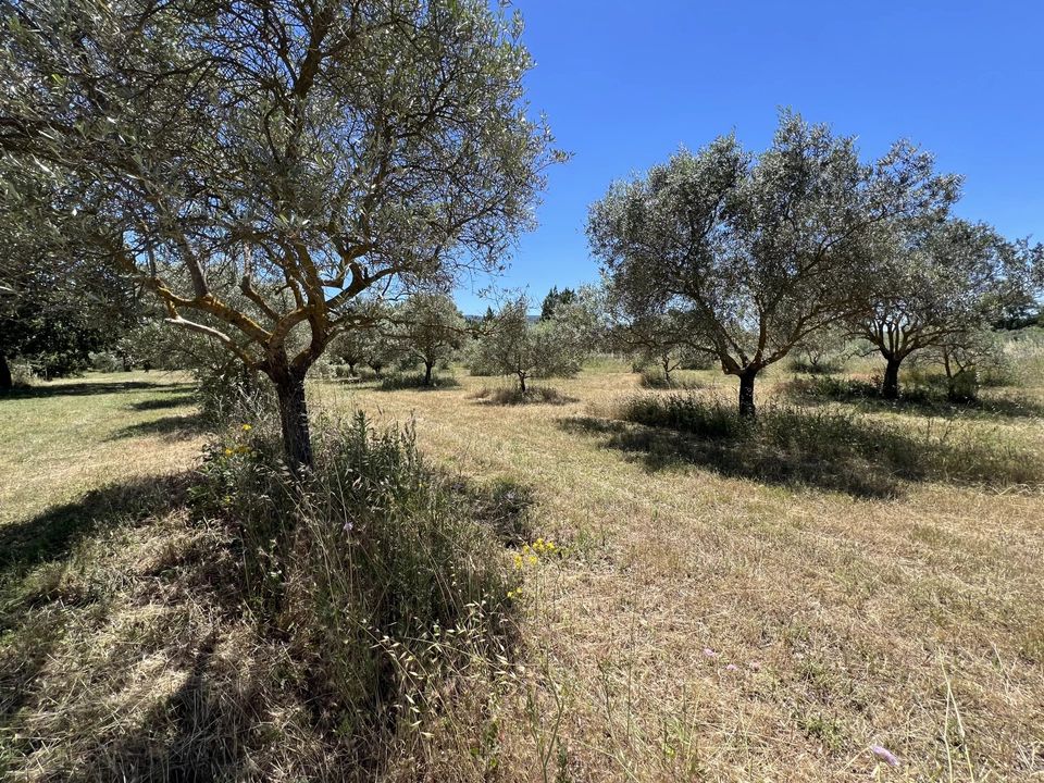 Villa i Cabrières-d'Avignon, Vaucluse - bilde 1