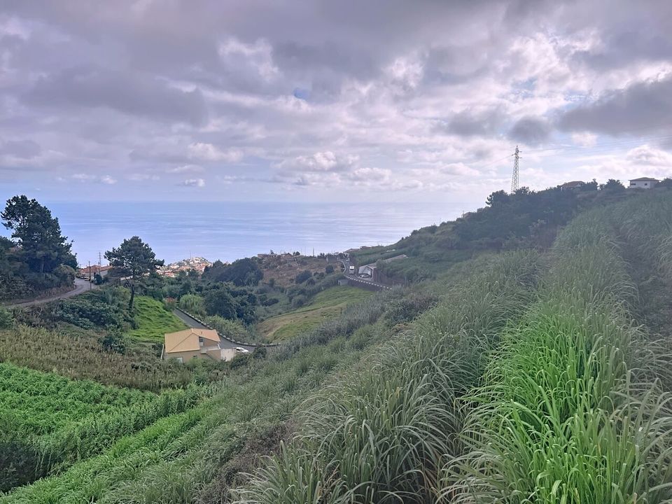 Villa i Ponta do Sol, Madeira - foto 4