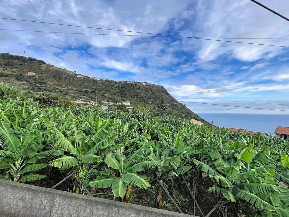 Helårsgrund i Arco da Calheta, Madeira - foto 1