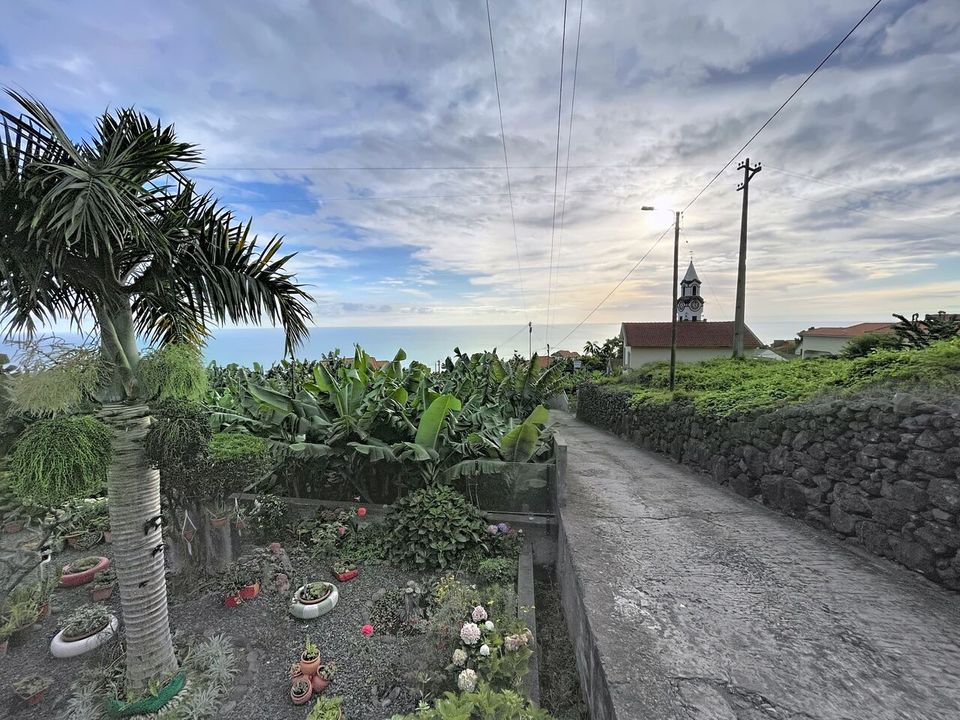 Helårsgrund i Arco da Calheta, Madeira - foto 2