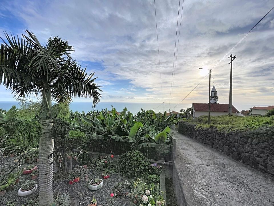 Helårsgrund i Arco da Calheta, Madeira - foto 4
