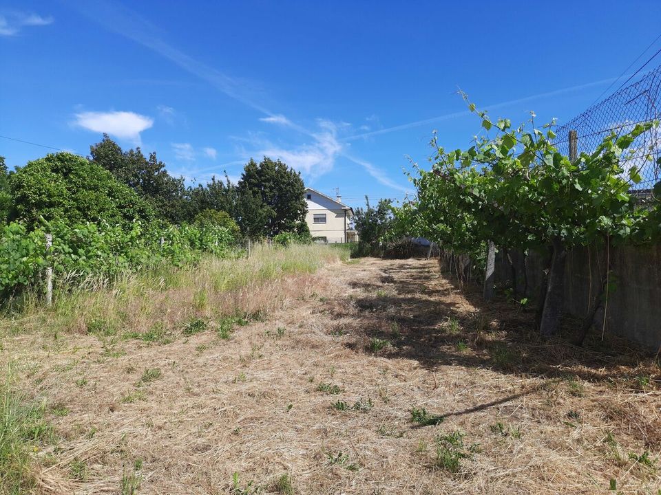 Villa i Moncao, Viana do Castelo - foto 3