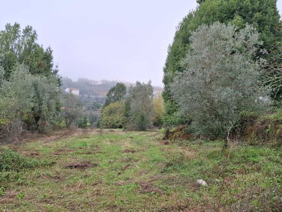 Helårsgrund i Penela, Coimbra - foto 1