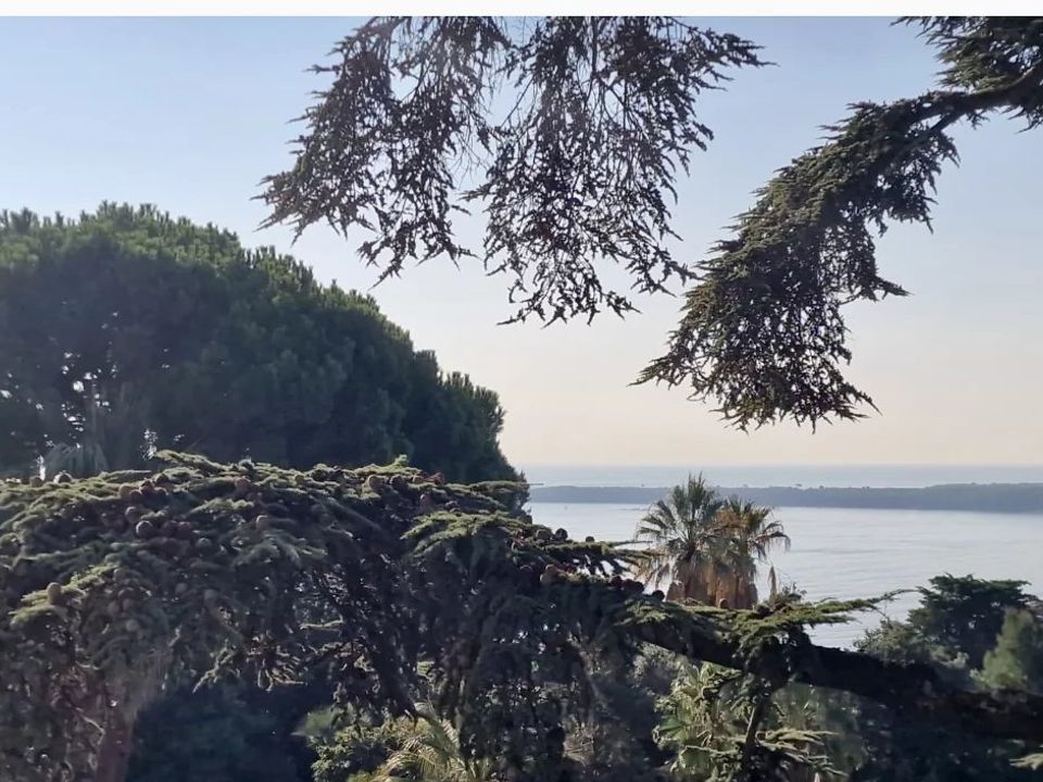 Lejlighed i Cannes, Alpes-Maritimes - foto 3