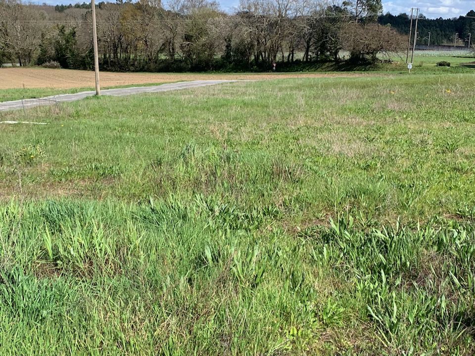 Helårsgrund i Pugnac, Gironde - foto 1