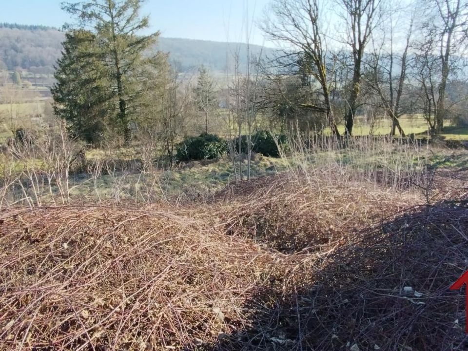Terreno en Harréville-les-Chanteurs, Haute-Marne - foto 2