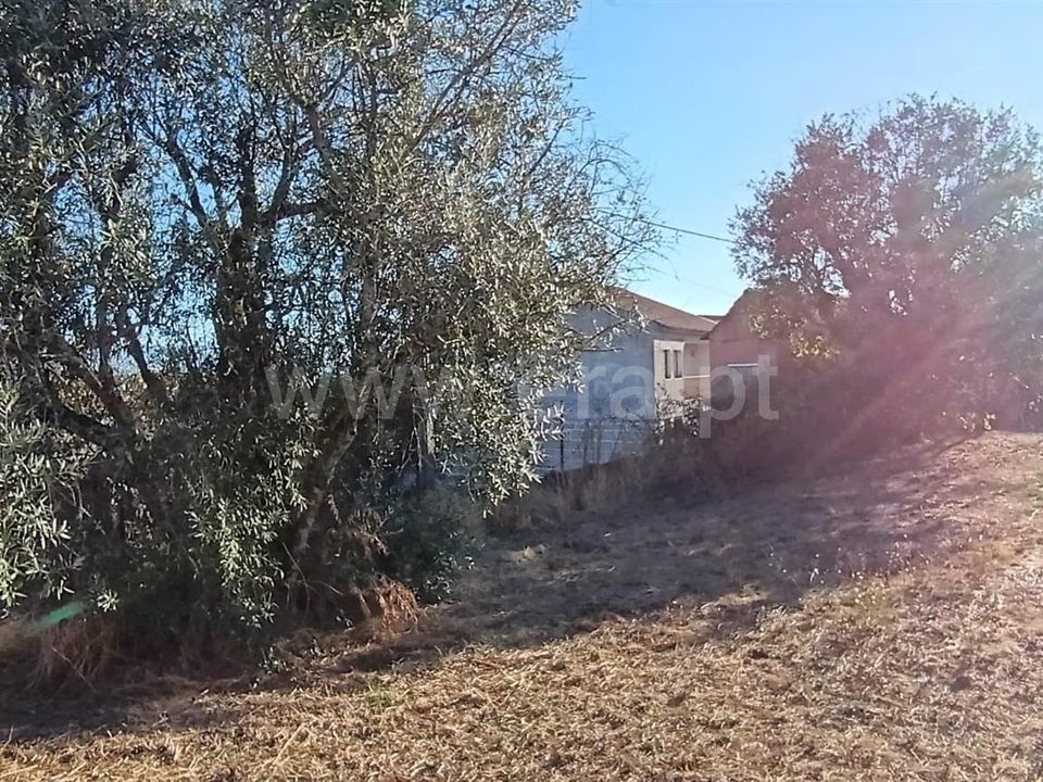 Terra em Mangualde, Viseu - foto 2