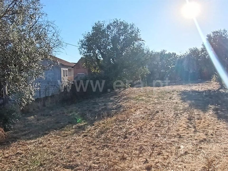 Terra em Mangualde, Viseu - foto 3